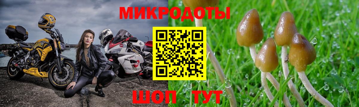 Псилоцибиновые грибы Psilocybine cubensis Новочебоксарск